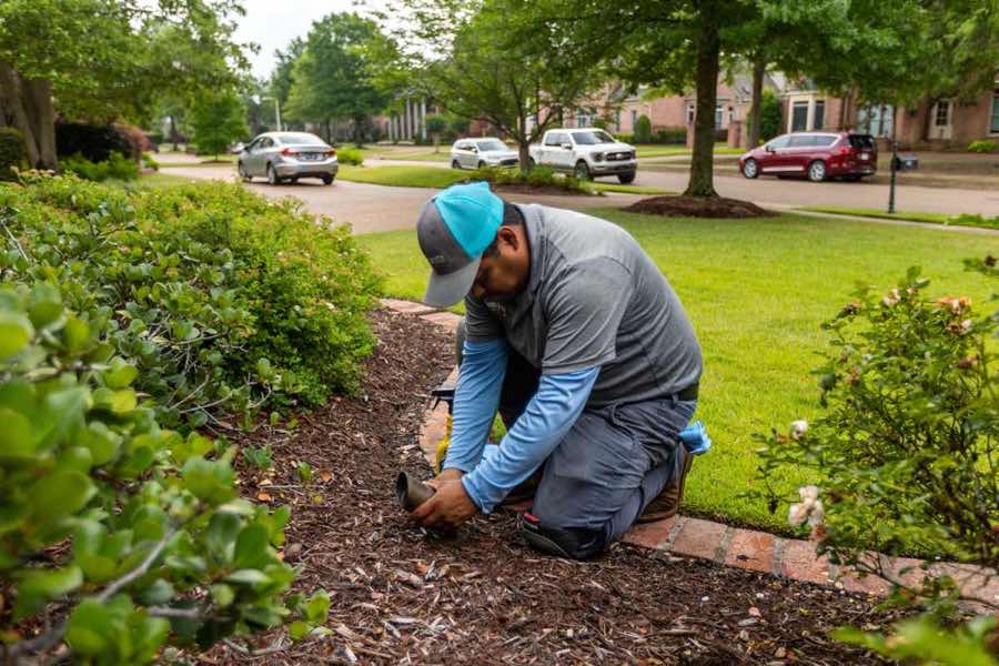 {SERVICE_NAME} project in Lewisville